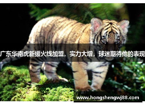 广东华南虎新援火线加盟，实力大增，球迷期待他的表现