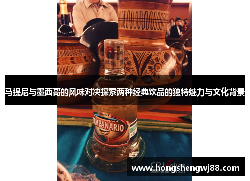 马提尼与墨西哥的风味对决探索两种经典饮品的独特魅力与文化背景