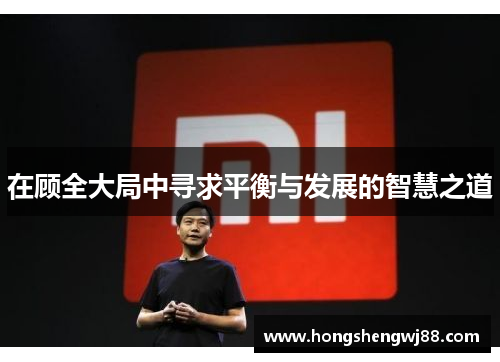 在顾全大局中寻求平衡与发展的智慧之道